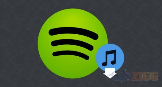 Spotify para Android - como baixar músicas para o cartão de memória