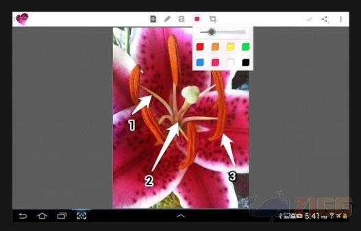 Skitch para android