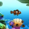 Marine Life 3D Screensaver
