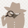 Privacy Agent