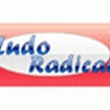Ludo Radical