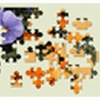 Photo Puzzle FX