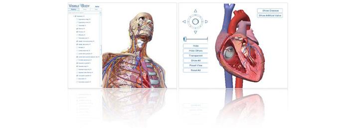Visible Body mostra anatomia do corpo humano em 3D