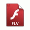 Pan Zoom Converter to FLV