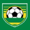 Campeonato Brasileiro 2013 para Windows 8