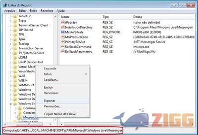 Abra mais de um Windows Live Messenger no Win7 3 19 35449 03jpg 6tnq7If