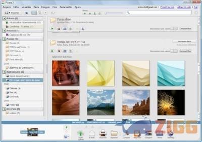 Picasa faz backup de fotos sozinho