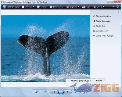 19 editefotosjpg F1DBrNO