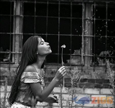 Criando partículas de polén abstratas 1 19 particulas imagem1jpg PefMSzb