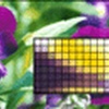 Magical Glass 2.0.0.2