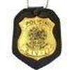 Apostila Polícia Civil