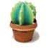 Cactus Papercraft