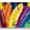 Colorful Feathers Windows 7 Theme