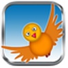 Fly Birdie