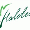 Halotea Free
