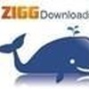 TVP YouTube Video Downloader