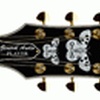 Apollo 37zz