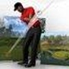 Tiger Woods PGA Tour Online