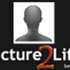 Picture2Life