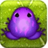 Pocket Frogs