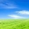 Green Field Beneath a Blue Sky