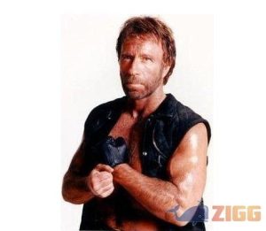 Chuck Norris Voltou! Mas para atacar o seu roteador.