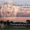 African Dreams Screensaver