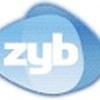 ZYB Beta