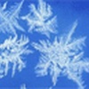 Snowflakes and Frost Theme