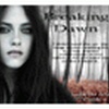 Twilight: Breaking Dawn Wallpaper Theme