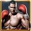 Real Boxing