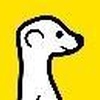 Meerkat