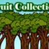 Fruit Collection 1.1