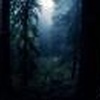 Dark Forest Windows 7 Theme