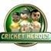 Cricket Heroes