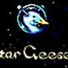 Star Goose