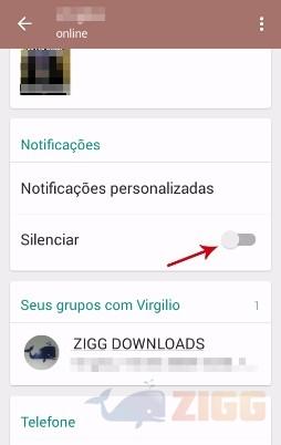 Como silenciar um contato no WhatsApp 5 como silenciar contatos whatsapp