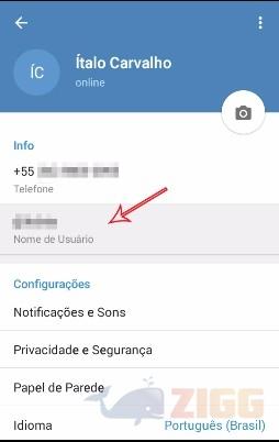 nome de usuario telegram