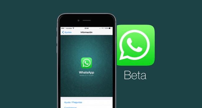 WhatsApp Beta disponibiliza função de encaminhar mensagem para múltiplos contatos 1 artigo 22dc18bbc322ccf530dddcff878d718a whastappbeta NgPzYRQ