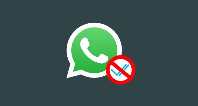 artigo 64d539bbee166fc58049d77ec2ba06ae zap 2 9nKBUsj