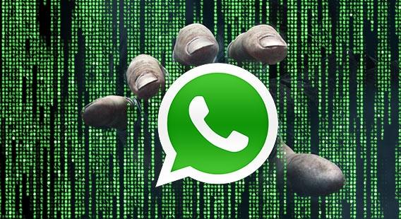 200 milhões de usuários do WhatsApp tiveram contas hackeadas