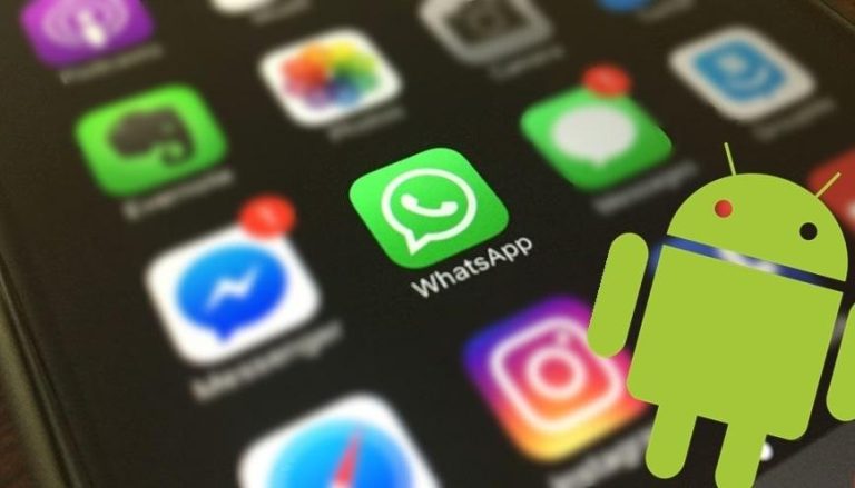 Novo recurso do WhatsApp permite gerenciar o uso de dados no seu armazenamento
