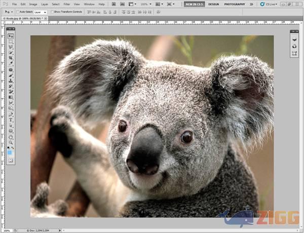 artigo 2e477320504c834bc01a79937d95b7ad pltmemp