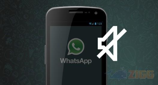 Como silenciar um contato no WhatsApp 2 Como silenciar um contato no WhatsApp