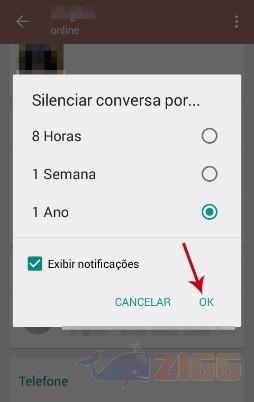 Como silenciar um contato no WhatsApp 6 como silenciar contatos no whatsapp