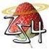 ZS4 Video Editor