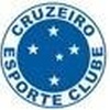 Tema do Cruzeiro 2013