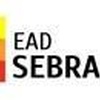 EAD Sebrae