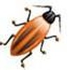 FireBug