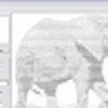 Multi Ascii Art